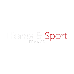 Logo Horse n Sport